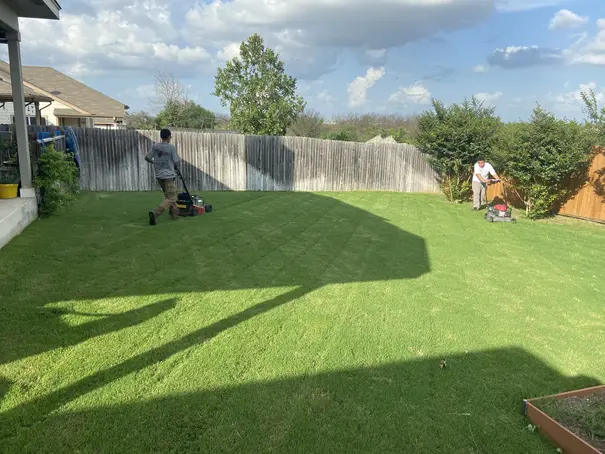 Freshly mowed backyard lawn with fence line in Cibolo, TX