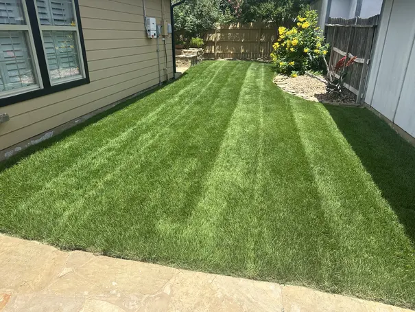 Striped green lawn after professional mowing service in Cibolo, TX